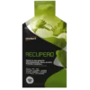 EthicSport Recupero 16.5 g